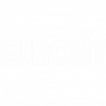 Logo Eurosit